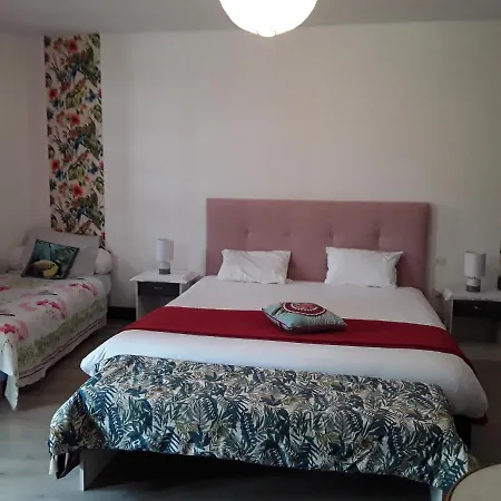 Bed & Breakfast Madelon Iv